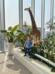 -IMON·HANSA潮玩玩偶毛绒玩具(通州万象汇店)