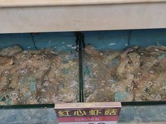 -宜宾海鲜酒家·三十年老字号