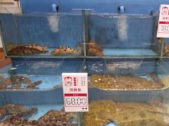 -添福来墨鱼饺子 · 海鲜东北菜(大连星海·黄浦路店)