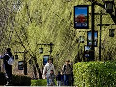 -西安汉城湖景区