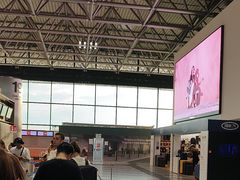 -米兰马尔彭萨国际机场