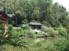 -广州神农草堂中医药博物馆