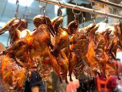 -聂记粤菜馆(鼓西路店)