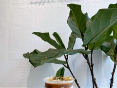 -red donkey coffee