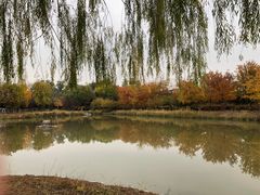 -将府公园