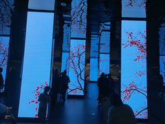 -中国湿地博物馆