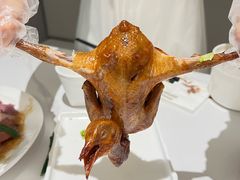-琬苑鸽庄·川粤融合菜(解放碑总店)