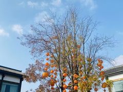 -白鹭湾湿地公园