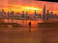 -深圳市当代艺术与城市规划馆