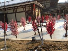 -金石唐风国际温泉会馆