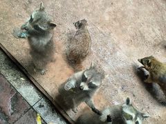 -杭州野生动物世界
