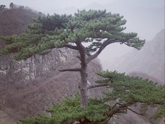 -圣莲山风景区