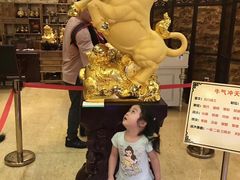 -华西龙希国际大酒店旅游观光景区