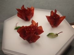-拾久(朝阳公园店)