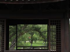 -江心屿景区