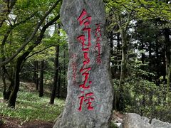 -庐山风景区花径公园