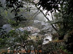 -祁门牯牛降观音堂风景区