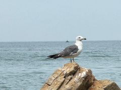 -龙爪山国家地质公园