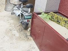 -涿派·炝锅鱼(涿州店)