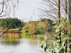 -海珠湖公园