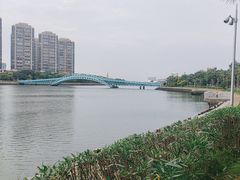 -五缘湾湿地公园