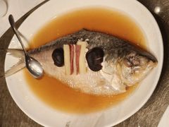 招牌鸡油花雕蒸鲥鱼-苏浙汇(肇嘉浜路总店)