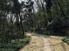 -杭州黄龙洞