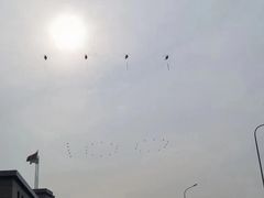 -第壹宝贝儿童教育中心(朝阳校区)
