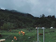 -硗碛藏寨·神木垒景区