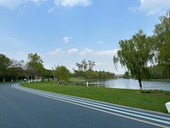 -贡湖湾湿地公园
