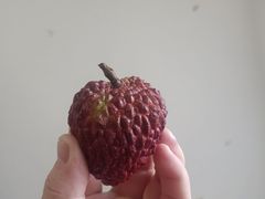 -食膳公园包子铺(烈士公园店)