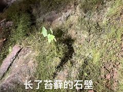 -善卷洞风景区