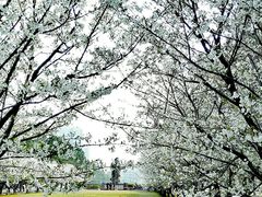 -同济大学(嘉定校区)