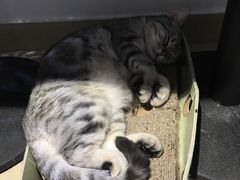 -小时光咖啡馆(开森度假森林店)