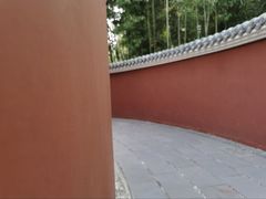 -望江楼公园