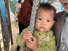 -海合安成都极地海洋公园