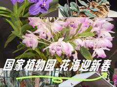 -北京植物园-展览温室