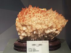 -湖南省地质博物馆