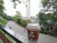 声声乌龙-茶颜悦色(岳麓山顶店)