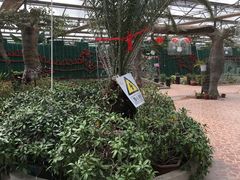 -万源龙顺度假庄园生态观光园