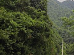 -鹿亭中村