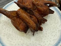 -鸽鸟轩(石岐店)