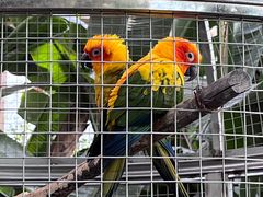 -大连森林动物园