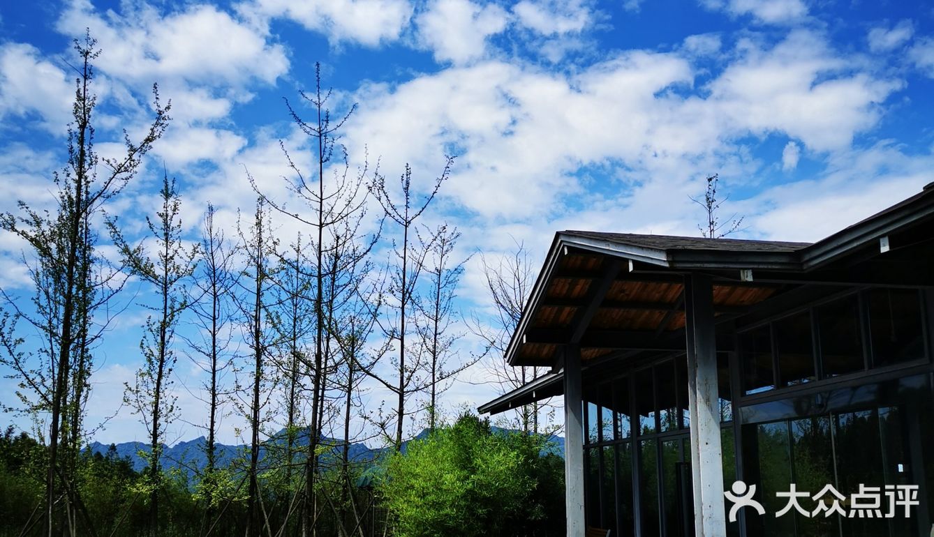 离重庆车程1.5小时避暑打卡地