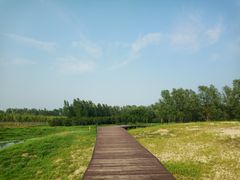 -东郊湿地公园