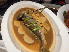 家烧生态大黄鱼-锦府园·新台州菜(合生汇店)