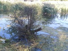 -永定河休闲森林公园