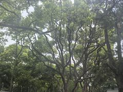 -星巴克(武康路店)