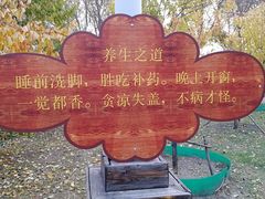 -长春公园(普阳街道)