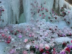 -洛阳白云山景区